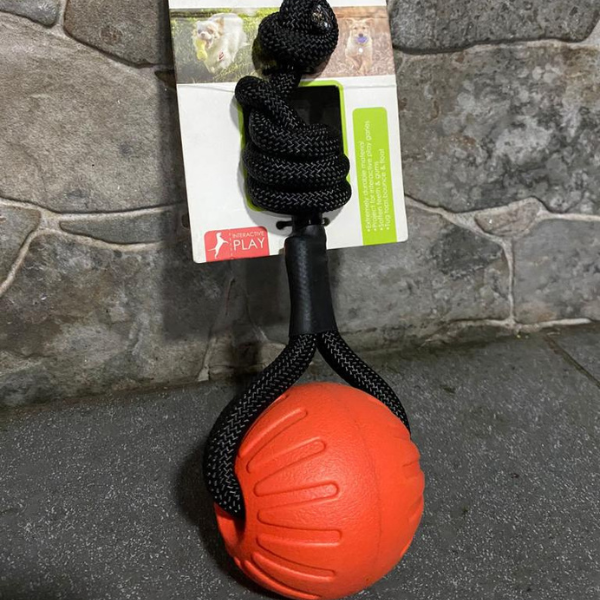 Pelota para entrenar