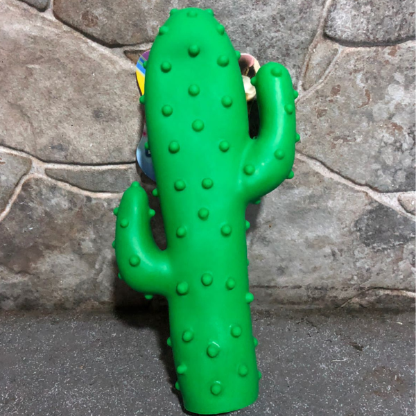 Cactus mordedor